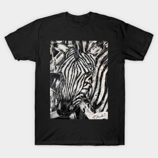 Zebra T-Shirt